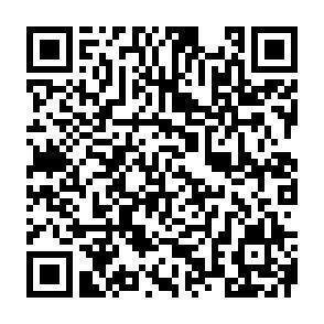 QR-Code - 
