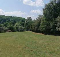 28.565 m2 Weide, 170 m2 Stall + Scheune, kleines Haus (27 m2), altes Haus (73 m2) zu verkaufen - Lenti nah