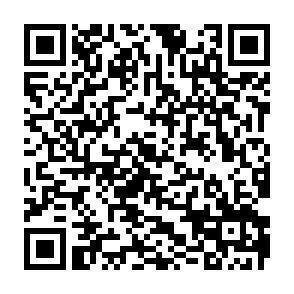 QR-Code - 