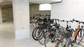 Stellplatz Fahrrad - 
