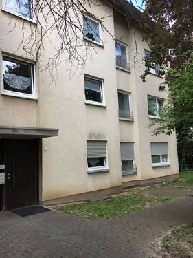 Gebäude Vorderseite des mehrstöckigen Wohnhauses umgeben von Grünanlagen mit Bäumen - Gemütliche, kleine 2-Zimmerwohnung sucht neue Mieter!
