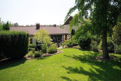 Großer Wohlfühlgarten - 