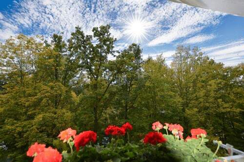Balkon - 4 Zimmer Etagenwohnung in Schwalbach am Taunus