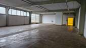 Teilansicht Lagerfläche.jpg - Halle zur Miete in Siebeldingen