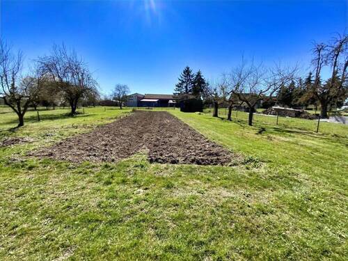 Wunderschöner Garten - Einfamilienhaus mit 140,00 m&sup2; in Unstruttal zum Kaufen