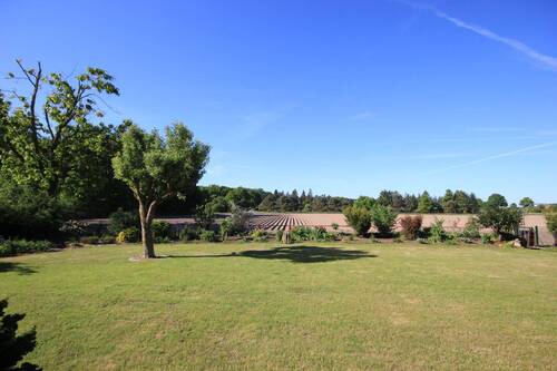 Blick in die Natur - 