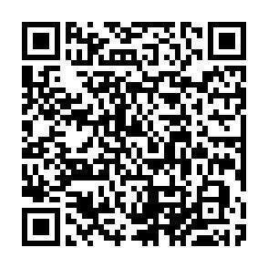 QR-Code - 