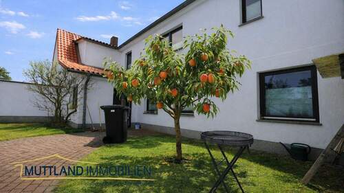 privater Innenhof mit KI-generiertem Sommerfeeling - 