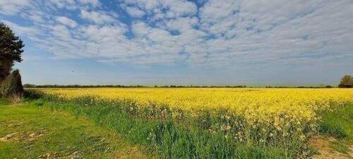 Umgebung - 