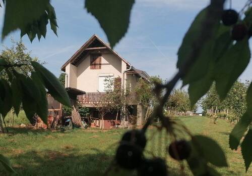  Ziegelhaus - Nagykanizsa-Weinberg Lehmhaus (50 m2) + Ziegelhaus (25 m2 + 25 m2) mit 3.425 m2 Grundstück - alle Obstbaumarten - zu verkaufen