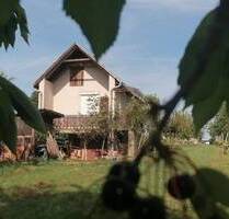 Nagykanizsa-Weinberg Lehmhaus (50 m2) + Ziegelhaus (25 m2 + 25 m2) mit 3.425 m2 Grundstück - alle Obstbaumarten - zu verkaufen