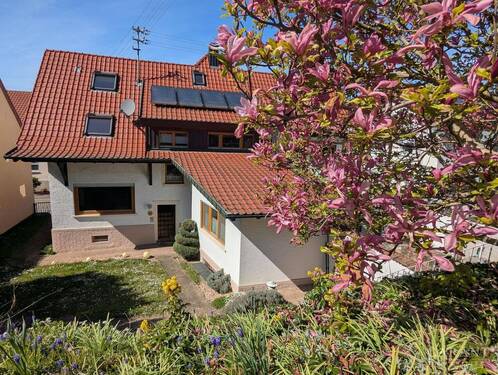 PXL 20260409 130934170 - 7 Zimmer Mehrfamilienhaus, Wohnhaus zum Kaufen in Hohberg