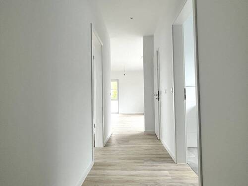 Bild11 - 