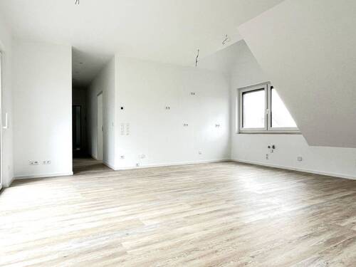 Bild8 - 