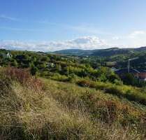 Von Minihaus bis Bauhausstil - auf der Sonnenseite ist vieles möglich - Alsenz