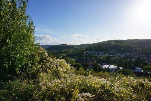 Hanglage mit Charakter - Grundstück in Alsenz