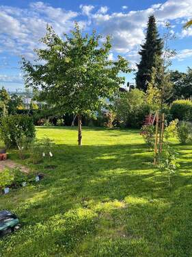 Blick von Garage nach Süden - 