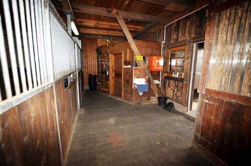 12_stall_innen_DSC_2849.jpg - 