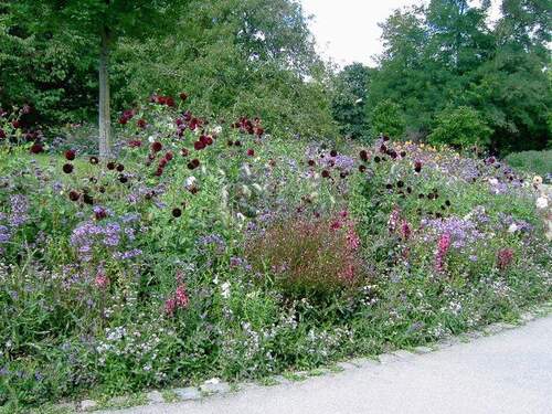 Grünanlage bei der Wohnung - 