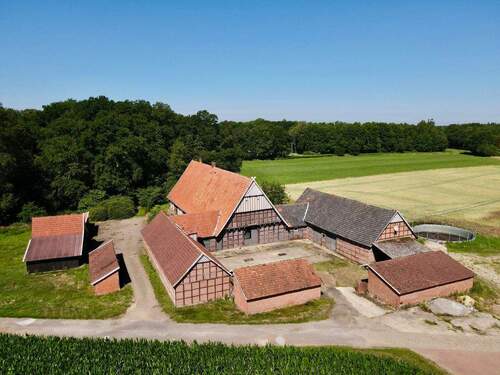 Luftaufnahme - 5 Zimmer Bauernhaus, Landhaus in Menslage / Renslage