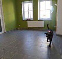 Besichtigung nach Vereinbarung-Mobil:01792098333 - Zwickau Pölbitz