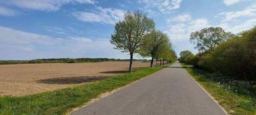 Bild 9 - Grundstück in Velgast zum Kaufen