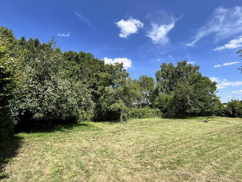 Bild13 - 