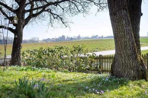 Blick in den Garten - 