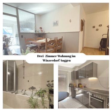 Komfortables Wohnen in Auggen - Komfortable Wohnung mit Balkon und Aufzug in Auggen