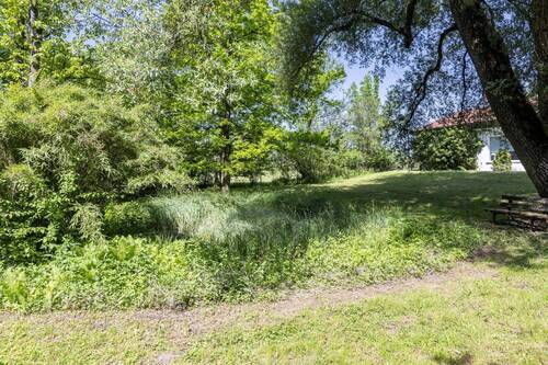 Garten und Teich Südseite - 