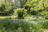 Garten im südlichen Teil - 