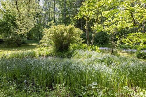 Garten im südlichen Teil - 