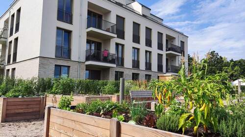 Gemeinschaftsgarten - 