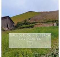 --- WOHNEN WO ANDERE URLAUB MACHEN --- - Durbach