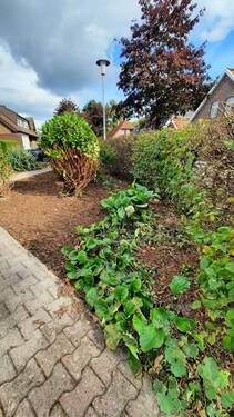 Garten - 