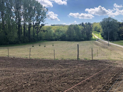 Das Grundstück von Nordosten - Idyllisches Baugrundstück in Südwest-Ungarn – 4.141 m² in traumhafter Alleinlage.