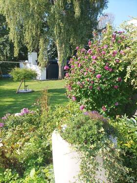 Garten - 