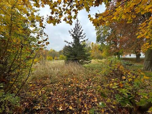 Grundstück - Grundstück zum Kaufen in Waltershausen