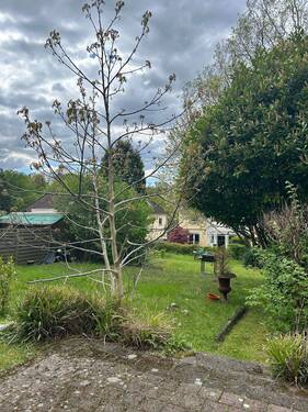 50f6d057-b607-4665-9851-f7bbb201c9ae.jpeg - 