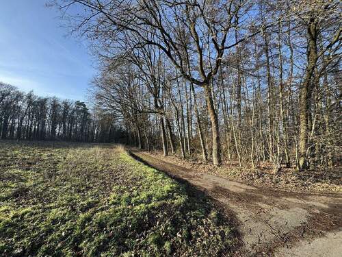 Spazierwege und Wald direkt vor der Tür - 