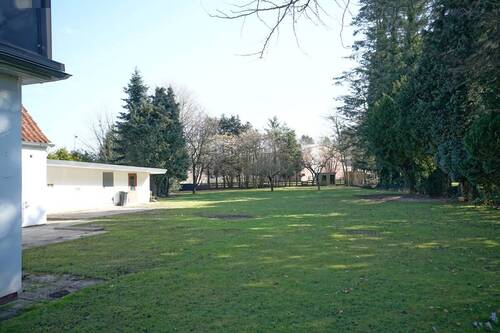 Blick in den Garten - 