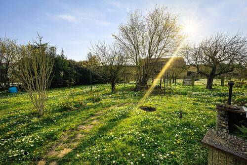 Garten - 