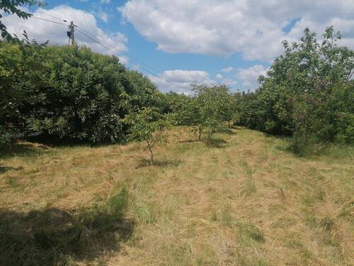 Grundstück - 14 km von Kaposvár entfert, breite Straßenfront, Versorgungseinrichtungen in der Straße, ruhige Lage, Sackgasse