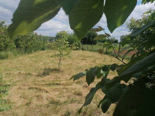 Grundstück - Grundstück in Kaposvár / Magyaratád