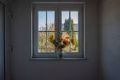 Blick in den Garten - 