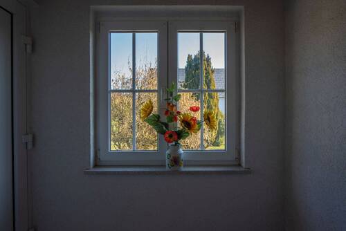 Blick in den Garten - 