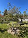 Garten 1 - 