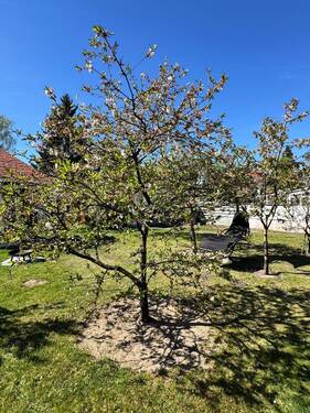 Garten 1 - 