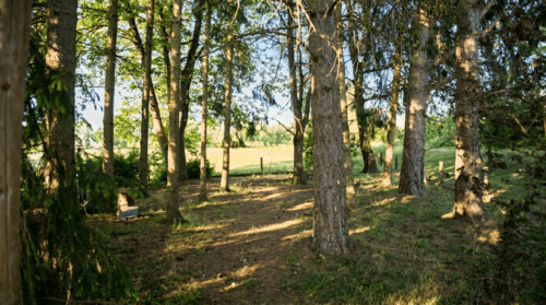 Naturbelassener Gartenabschnitt - 