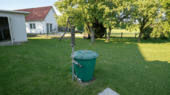 Sonniger Garten mit Grünfläche - 